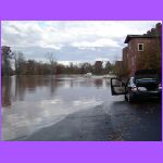 Flooded Cars 5.jpg